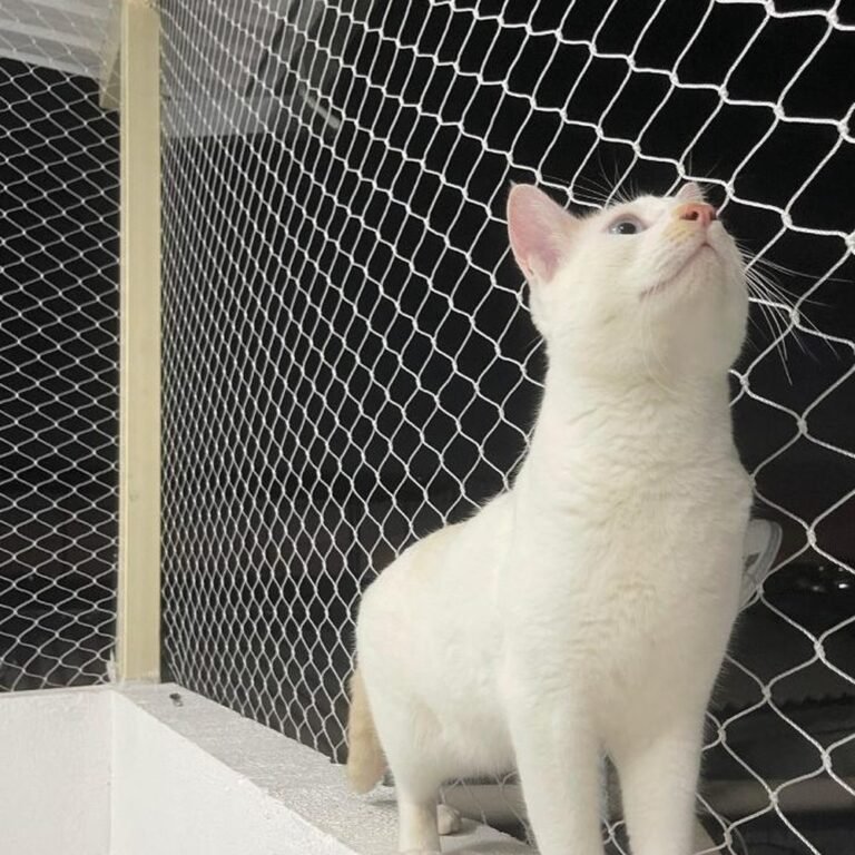 Commercial gato branco rede protecao sacada sp 1