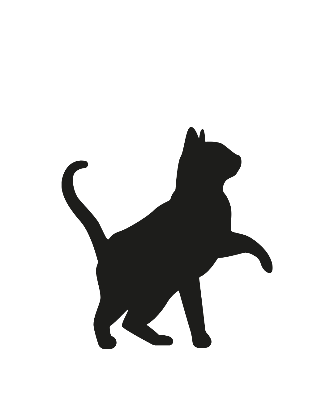 Gato